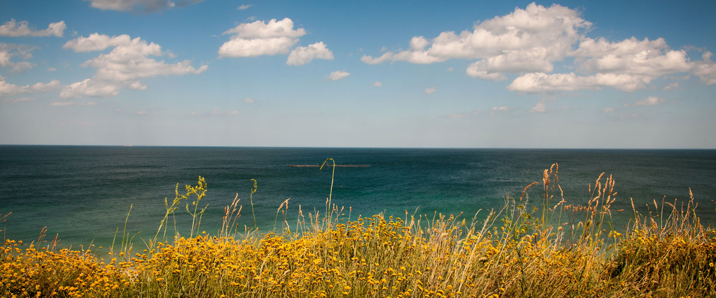 Coastal seascape