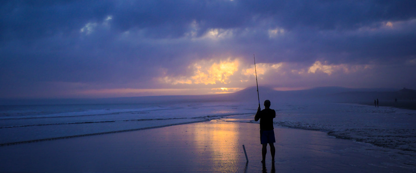 Fisherman on the shore image