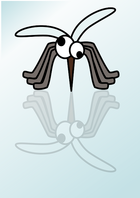 drawing of mosquita drawing of mosquita